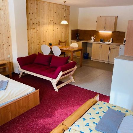 Studia Pod Lysou Apartment Rokytnice nad Jizerou Luaran gambar