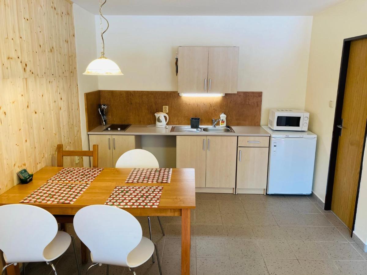 Studia Pod Lysou Apartment Rokytnice nad Jizerou Luaran gambar