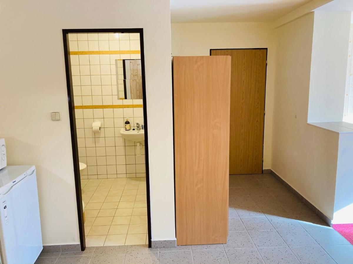 Studia Pod Lysou Apartment Rokytnice nad Jizerou Luaran gambar