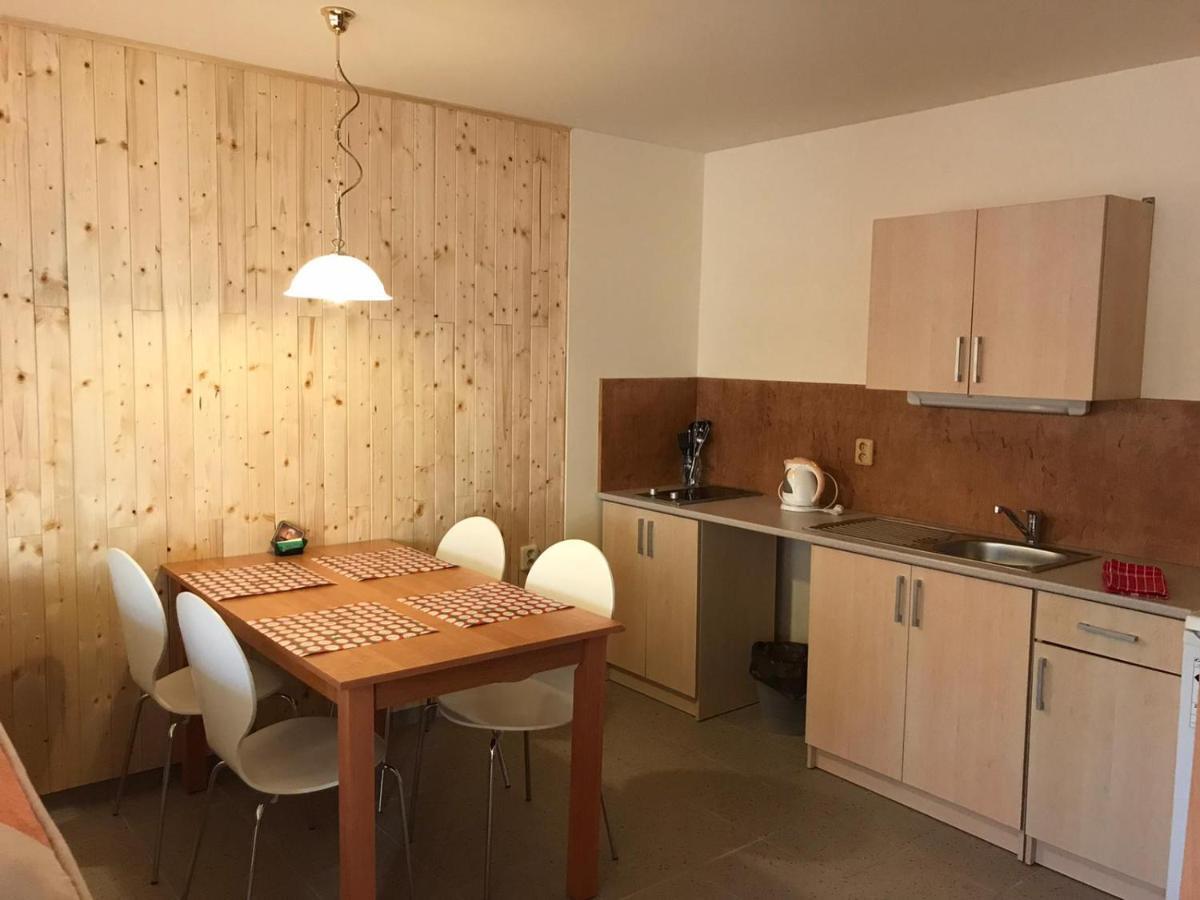 Studia Pod Lysou Apartment Rokytnice nad Jizerou Luaran gambar