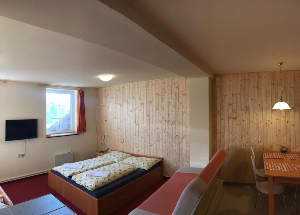 Studia Pod Lysou Apartment Rokytnice nad Jizerou Luaran gambar