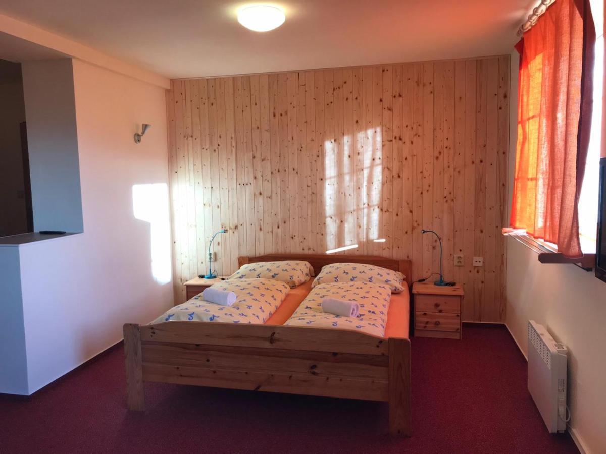 Studia Pod Lysou Apartment Rokytnice nad Jizerou Luaran gambar