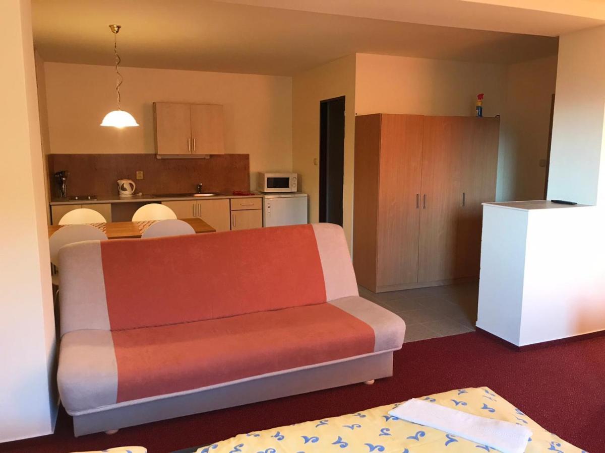 Studia Pod Lysou Apartment Rokytnice nad Jizerou Luaran gambar