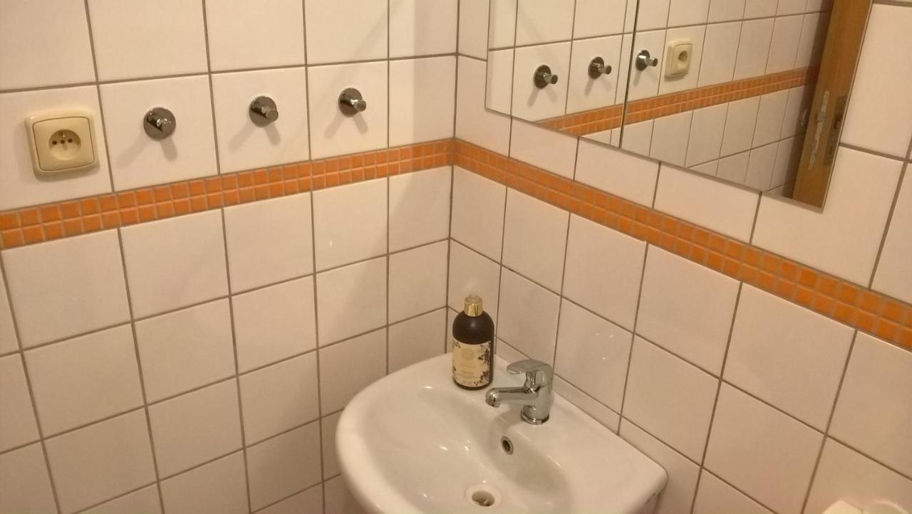 Studia Pod Lysou Apartment Rokytnice nad Jizerou Luaran gambar