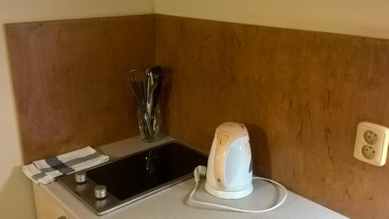 Studia Pod Lysou Apartment Rokytnice nad Jizerou Luaran gambar